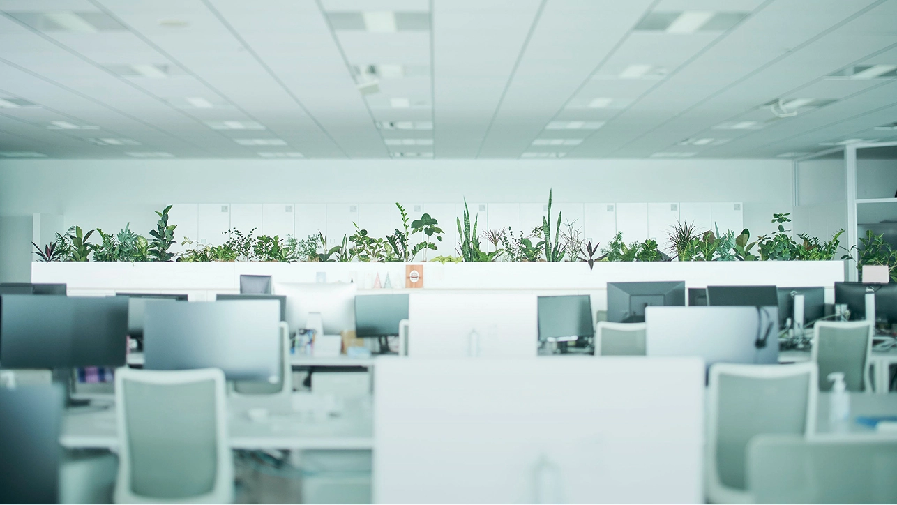 会社情報
